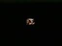 IMAGE035.jpg